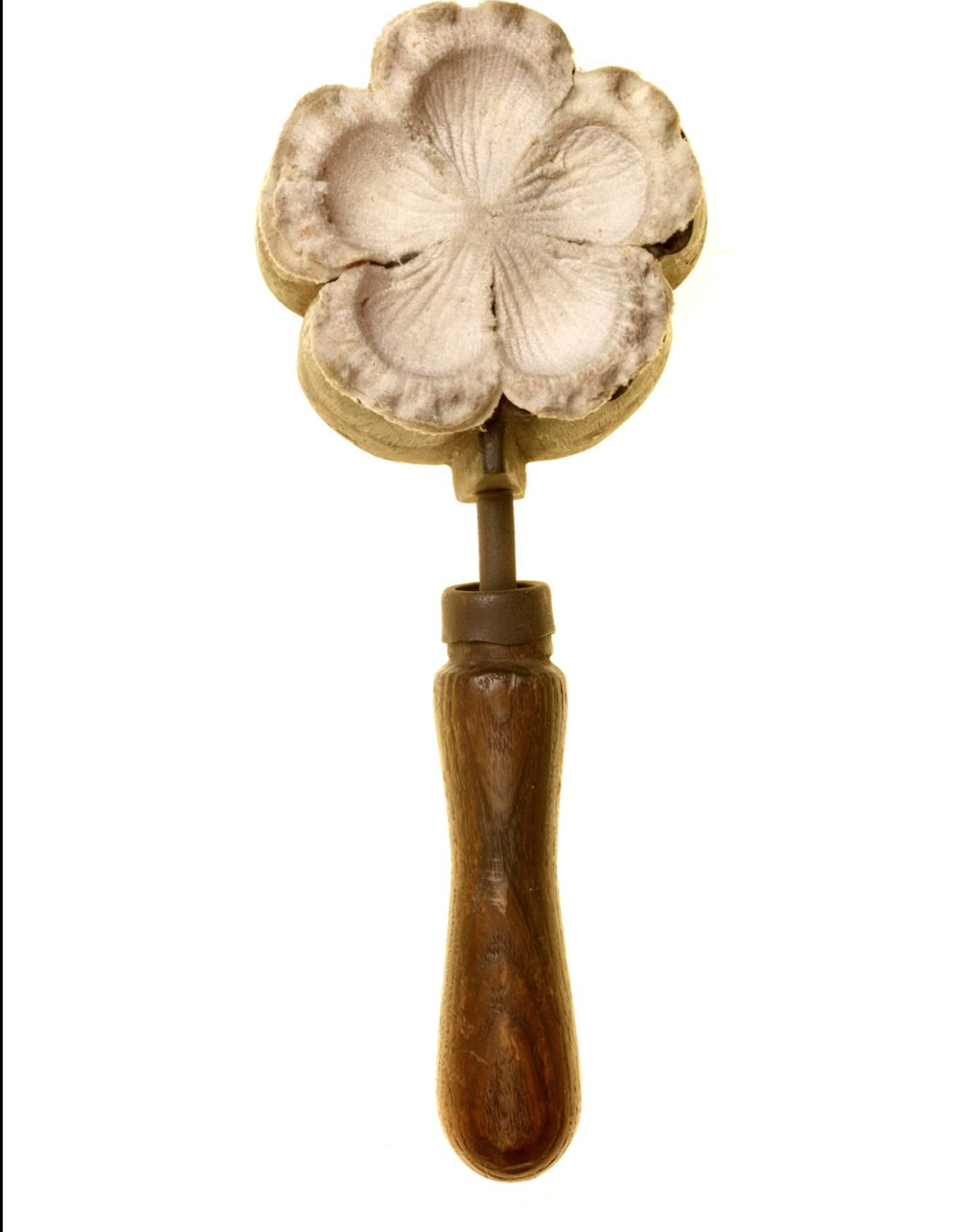 Matrice de veinage de fleur de pavot des Flandres en soie, Selman & Son, 1870 - 1950 &copy; London Museum