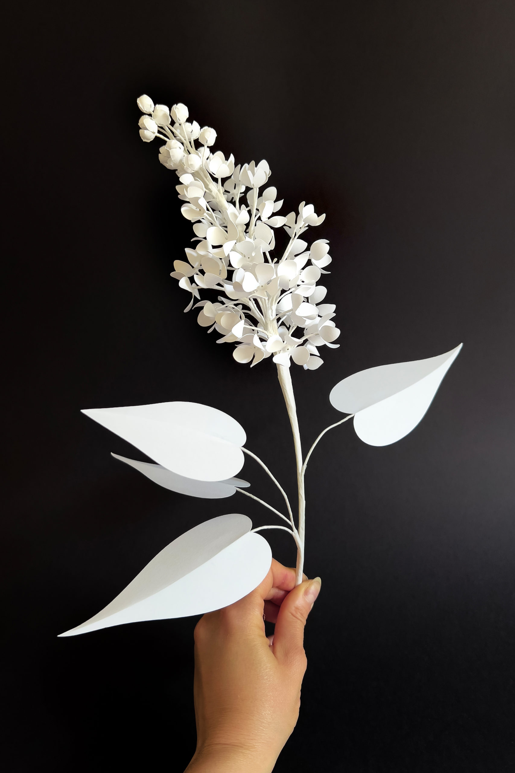 &Eacute;tude d'une branche, feuilles et fleur de lilas, papier &copy; L&eacute;a Dubreuil