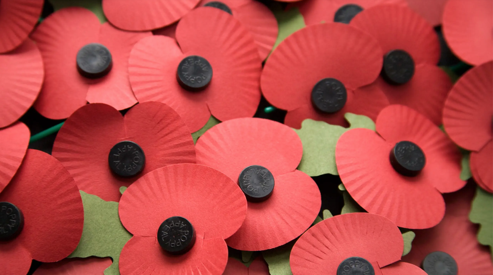 Remembrance Poppies / Coquelicot anglais sans plastique 2023 © UPM Pulp
