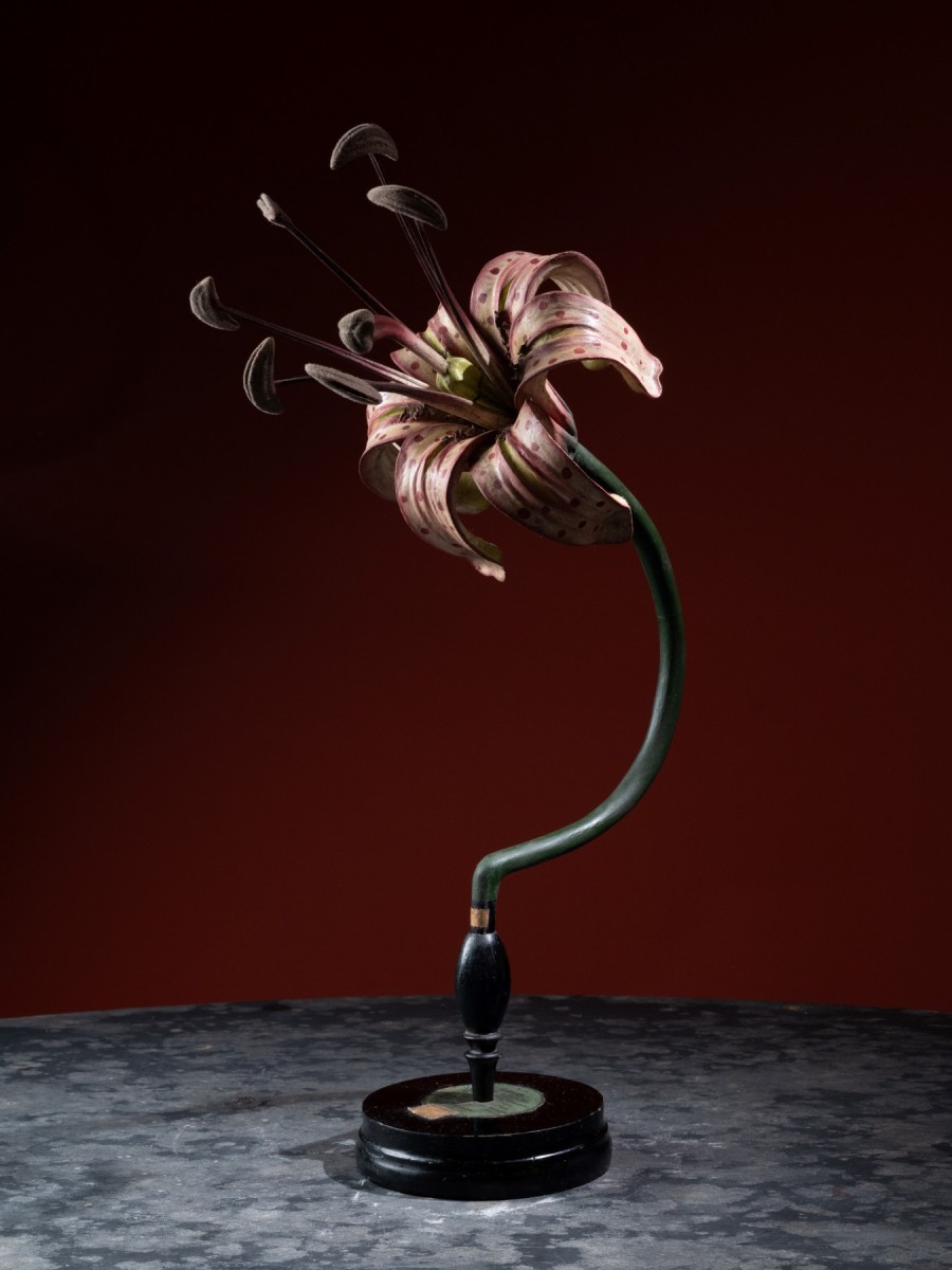 Robert et Reinhold Brendel, modèle anatomique d’une fleur de Lys. Papier mâché et bois peint, XIXe siècle © Galerie Lamy Chabolle