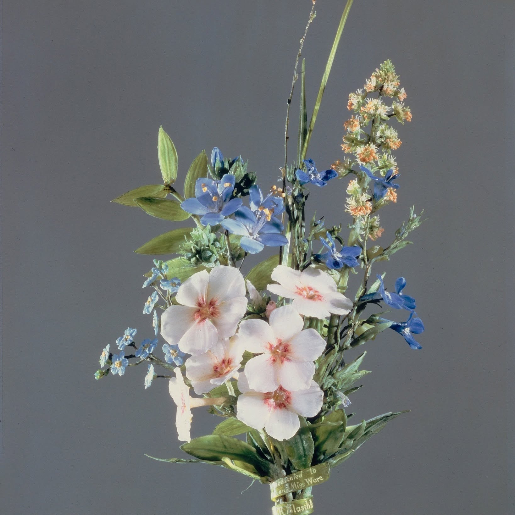 Leopold et Rudolf Blaschka, Bouquet de fleurs en verre composé de myosotis, de lobélies, de phlox, de lins et de résédas. Un ruban entourant les tiges porte l'inscription : « Dédié à Mme et Mlle Ware / L. & R. Blaschka », 1889 © Harvard Museum of Natural History